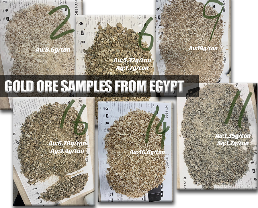 gold ore samples from Egypt - Gold Ore Cyanide Leaching Plant for Egyptian Client