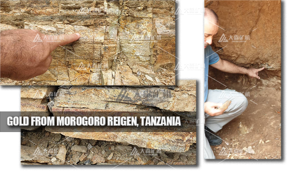 Gold from Morogoro Reigen Tanzania - Designing a 10 TPD Mobile Gold Leaching Plant for High-Silver Ore in Tanzania