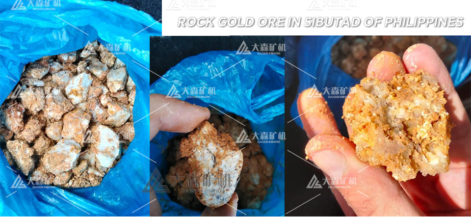 rock gold ore in Sibutad of Philippines - Why Choose a Container Type Gold Leaching Plant for Sibutad's Ore?