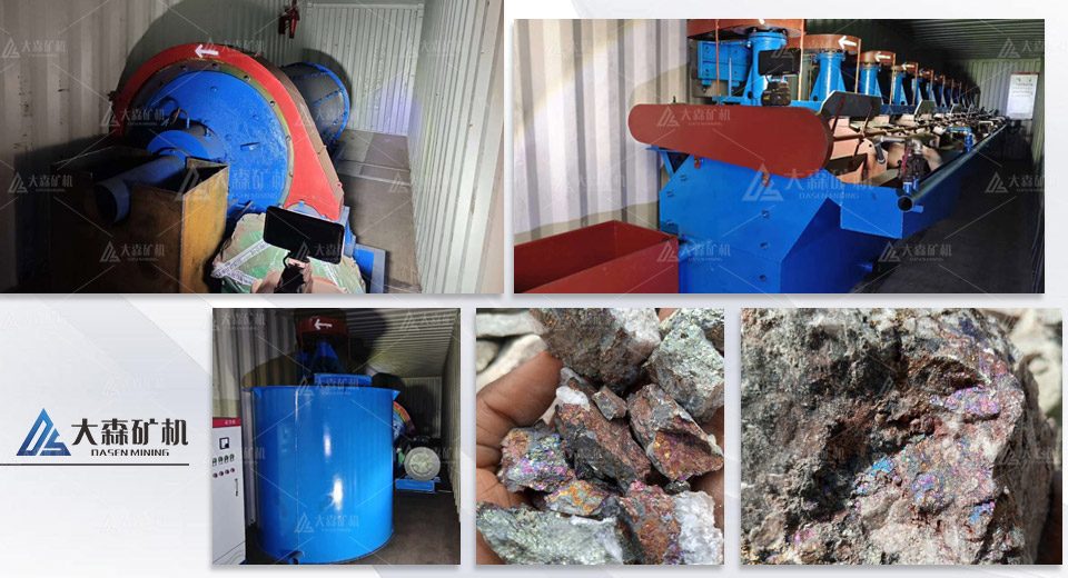 20 ton container flotation processing plant - 20-Ton Containerized Flotation Processing Plant