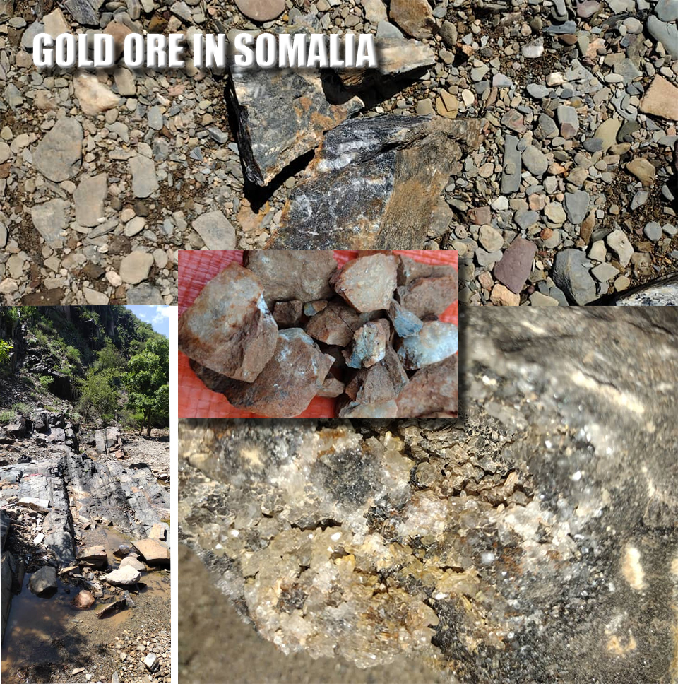 modular mineral processing - Is a 10 TPD Containerized Leaching Plant Right for Your Somalia Gold Project?
