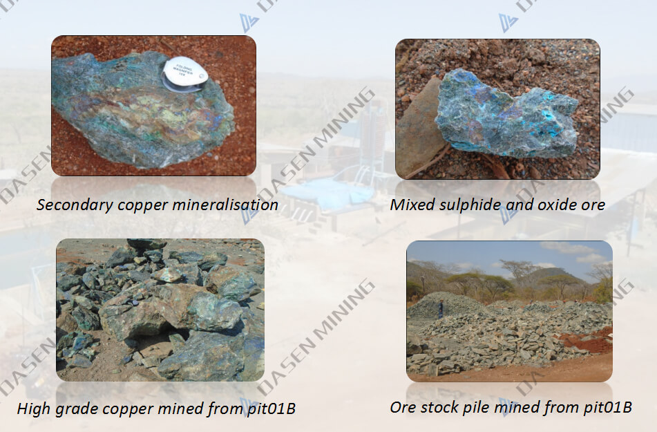 2 - 100 Ton Per Day Froth Flotation Process for Copper in Tanzania