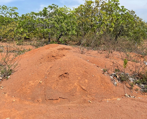 lithium mines in world