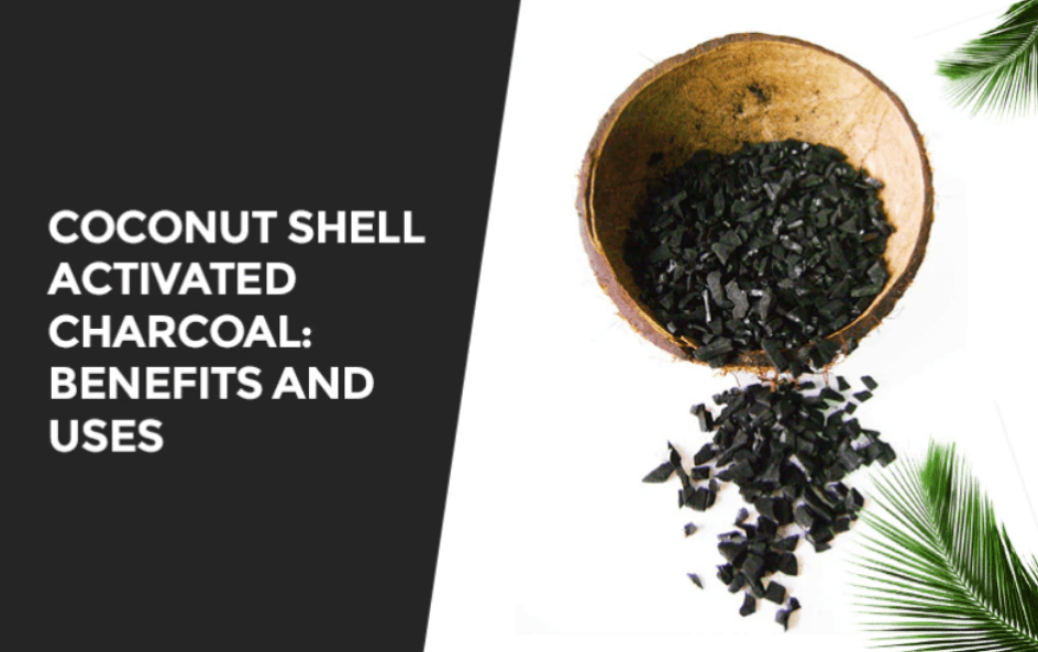 3 - Why is coconut shell used in activated carbon?