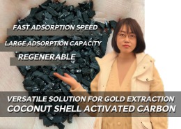 Coconut Shell Activated Carbon 260x185 - Knowledges