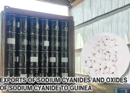 DASENMINING Sodium cyanide is shipped to Guinea 1 260x185 - Dasen News