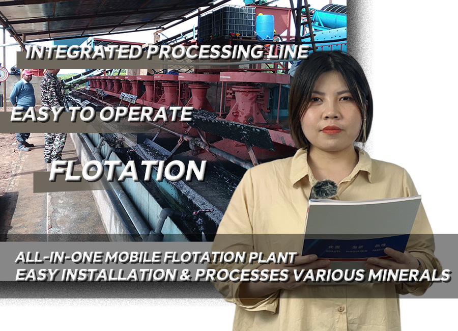 Comprehensive Guide ad continens Type Flotation Plant - Dasen Mining