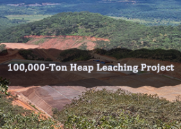 100000 Ton Heap Leaching Project 260x185 - Cases
